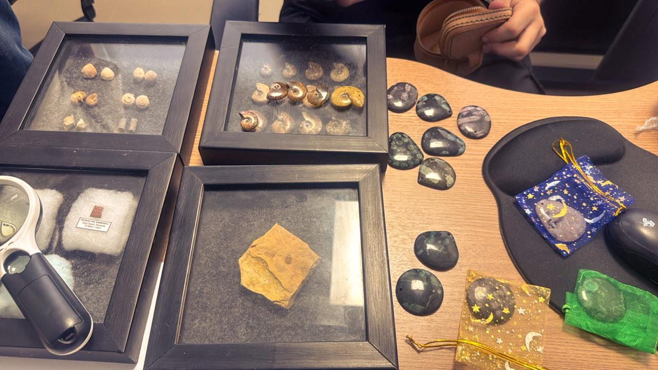 PF deflagra operação contra contrabando de fósseis no Cariri