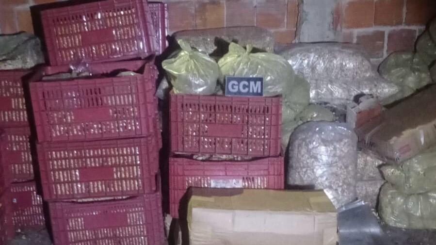 Guarda Municipal do Eusébio recupera caminhão de castanhas roubadas
