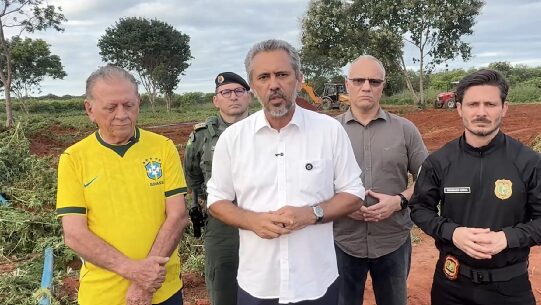 Elmano acompanha destruição de plantação de maconha em Acopiara