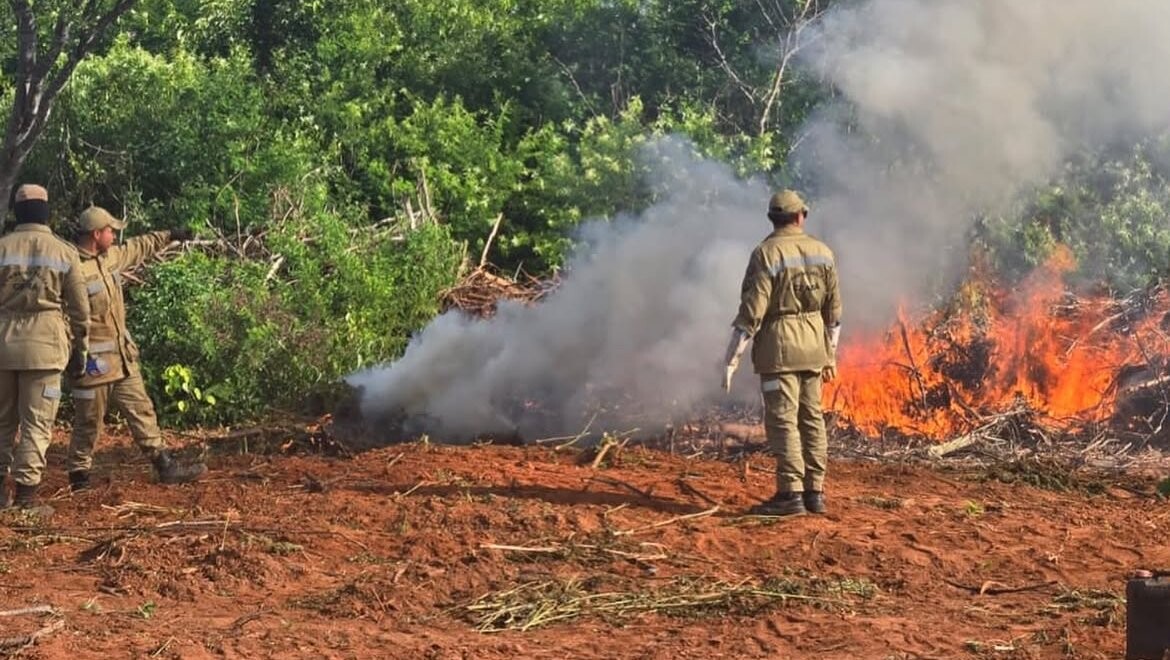 Dois delegados são exonerados após apreensão de maconha em Acopiara