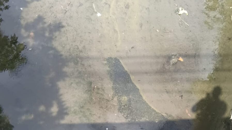 Dois corpos esquartejados encontrados no riacho Jacarecanga