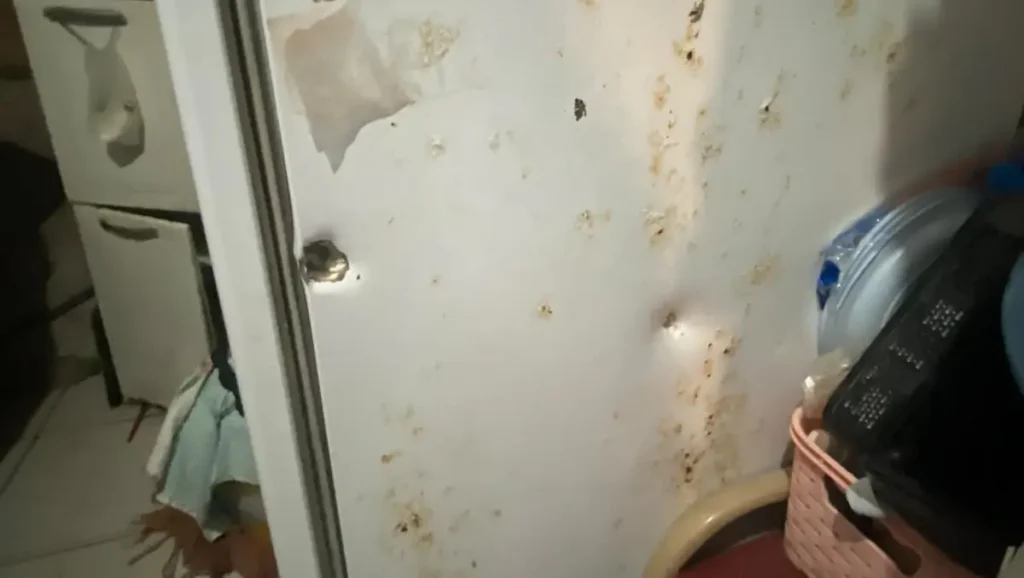 Mulher fica ferida após ataque a tiros na Favela do Brejo em Messejana