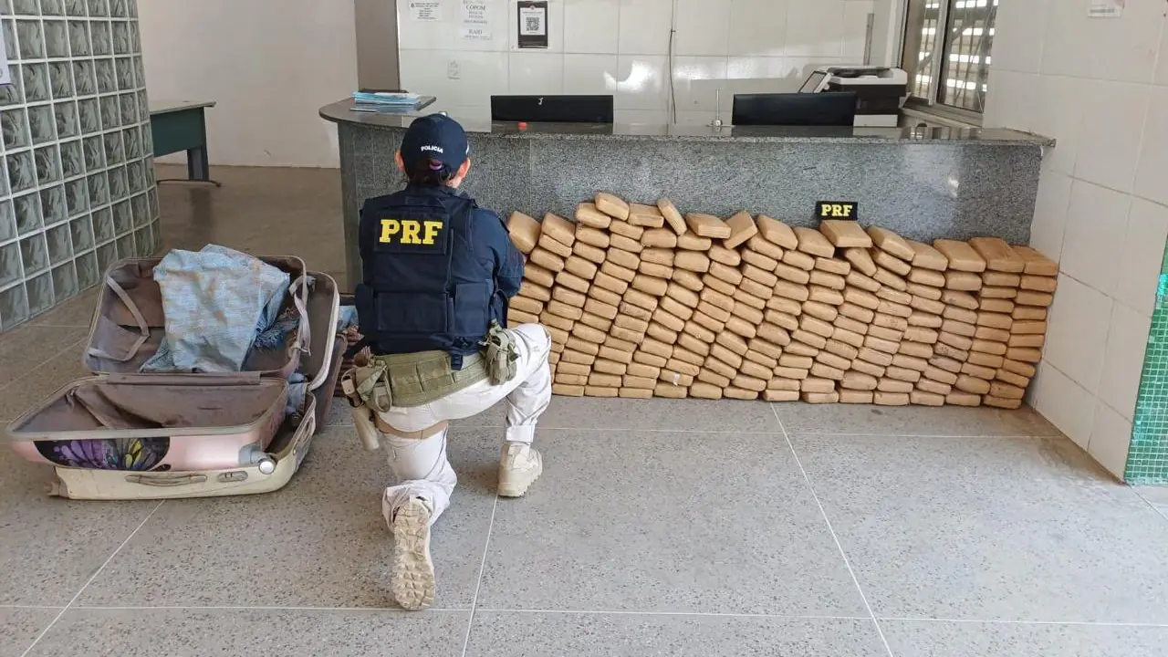 PRF e PM do Ceará apreendem 250 kg de maconha trazida do MT