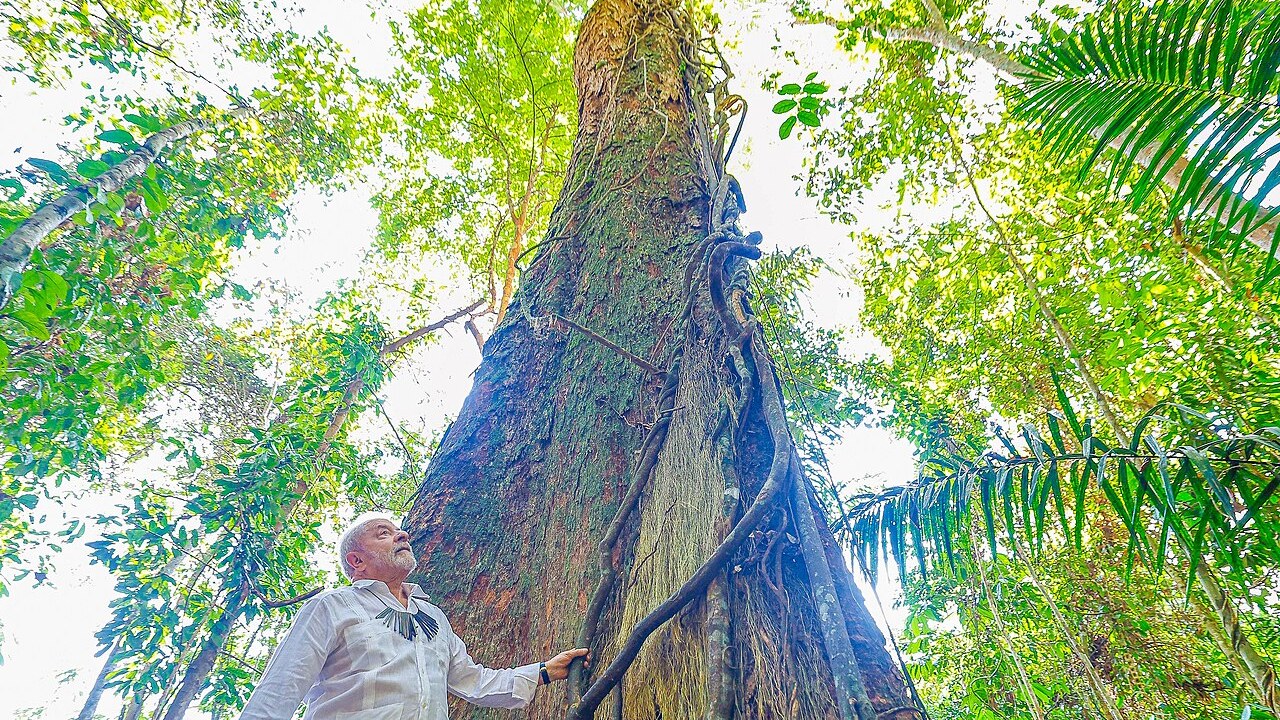Amazonas tomado pela fumaça: Lula envia 290 profissionais e seis aeronaves às vésperas do 2º turno