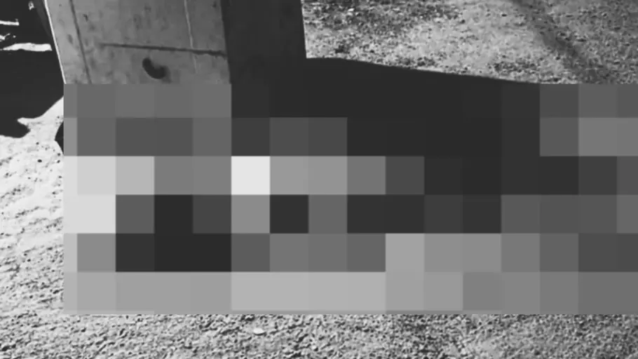 Mulher de 60 anos é morta em casa; polícia investiga caso