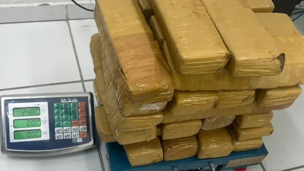 Carga com 24 kg de skunk em Fortaleza é interceptada com sucesso